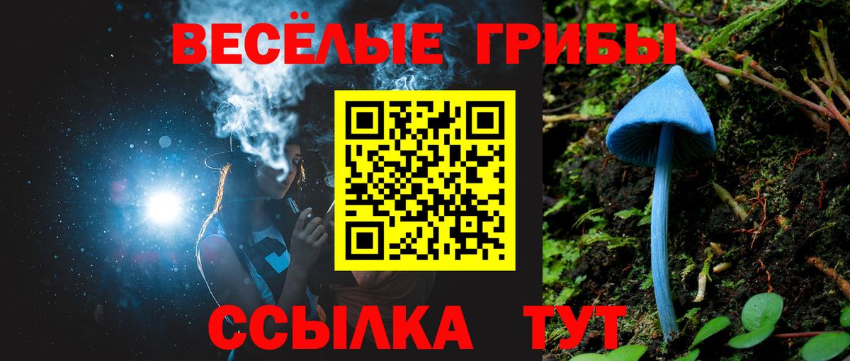 Псилоцибиновые грибы MAGIC MUSHROOMS  Вход с VPN  Вязьма 