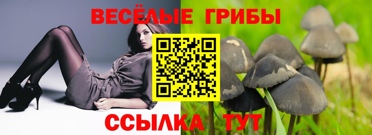 Галлюциногенные грибы прущие грибы Вязьма